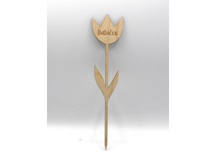 Tulipán - Babičce