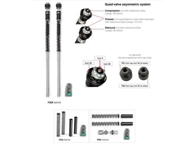 Dorsoduro 750 fork