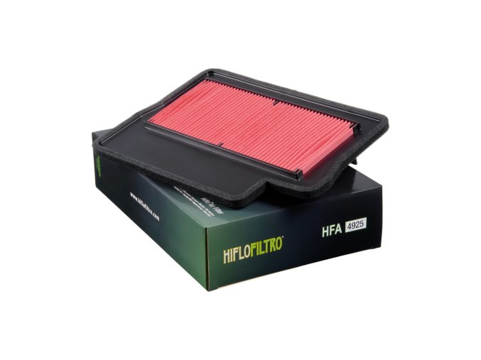 HFA4925 Air Filter 2025 01 15