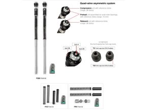 Dorsoduro 750 fork