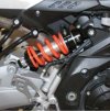 shiver750 17 1