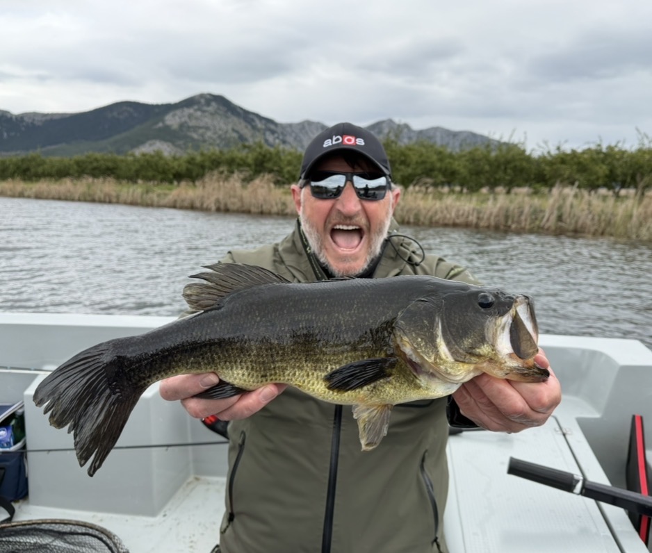 Black bass v Chorvatsku