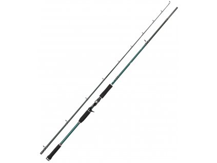 ABU GARCIA Prut Beast X Casting Rod 2,7m 70-250g