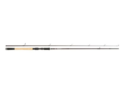 ABU GARCIA Prut Tormentor Spinning Rod 3,04m 10-40g