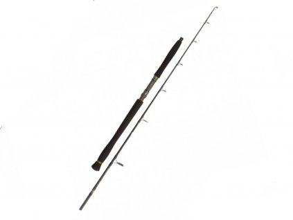 PENN Legion Cat Gold Spin 2,75m 50-175g