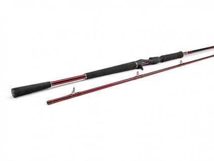 WESTIN Prut W6 Powercast-T 2,33m 40-130g
