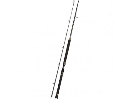 PENN Regiment II Popping Spin 2,4m 50-100g