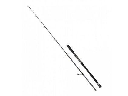 PENN Prut Carnage Popping Xtreme 2,49m 130lb