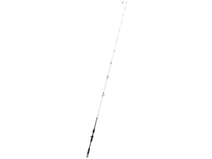 QUANTUM Accurist Cast 2,13m 28g