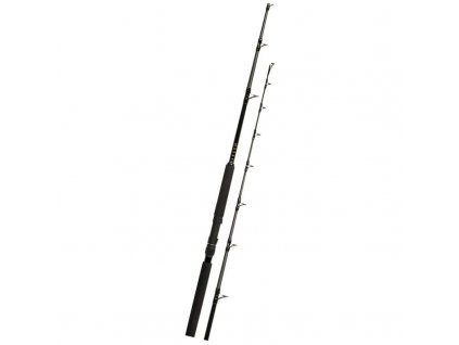 PENN TRQ Boat 802 80-250g