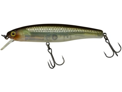 ILLEX Arnaud 10cm abos.cz