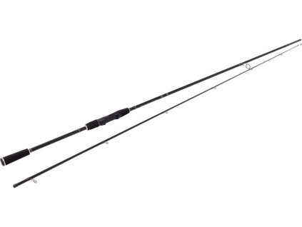 WESTIN Prut W2 Powershad 2,4m 15-40g
