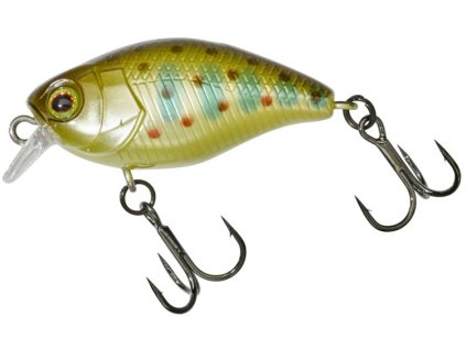 ILLEX Chubby Micro Truitelle