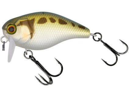 ILLEX Chubby SSR Tonosama