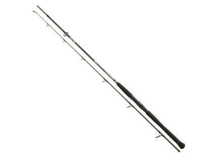 DAIWA Powermesh Catfish Spin 2,4m 185g