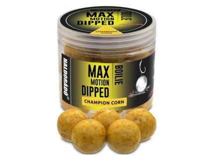 HALDORADO MAX motion boilie v Dipu 20mm Champion Corn