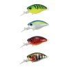DUO Realis 48MR Bottom Rush