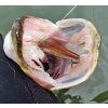 DUO Jerkbait 100SP Silent