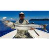 privlacove pruty 187 183220m