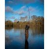 FOX prut EOS X 3,6m 3,25lb Full Shrink 12