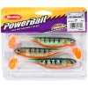 70865 3 berkley gumova nastraha powerbait gotam shad 11cm native brown