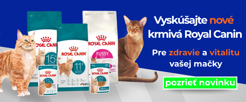 Nové krmivá Royal Canin pre mačky – balenia granúl a kapsičiek, mačky pri produktoch, e-shop AbovZoo.sk