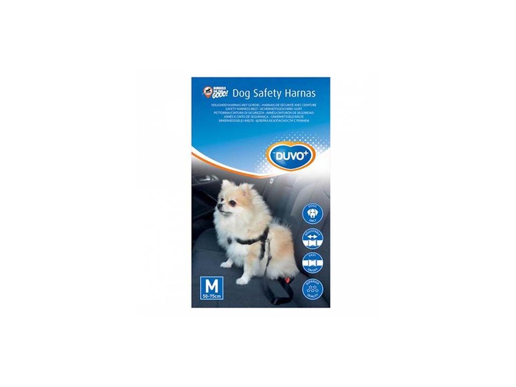 OBC013614 1605868059