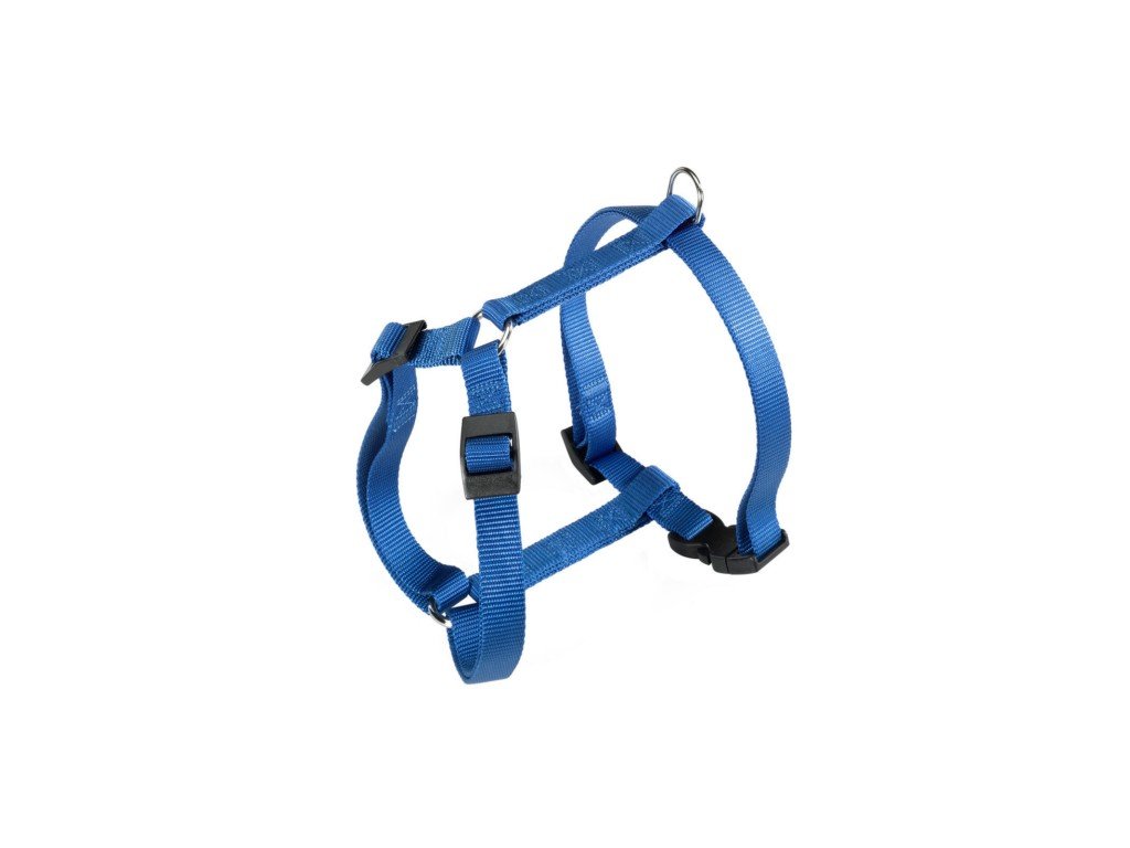 champiblue
