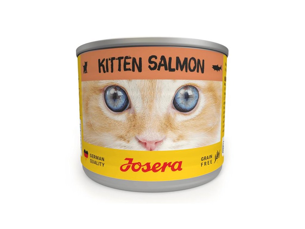 OBC025313 1730896647