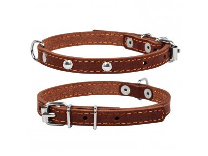 Wau Dog Obojok Collar kožený s dekoráciou, 38 50cm/25mm, hnedá
