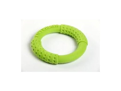 KIWI Walker Lietajúci kruh, 18 cm, zelená
