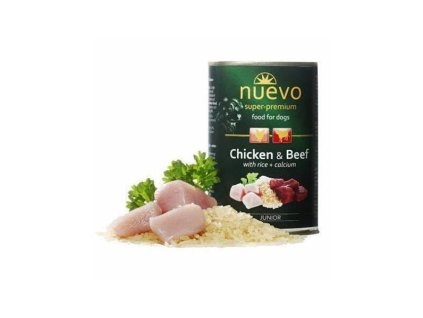 OBC021973 1651815457