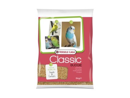 OBC022210 1652425619