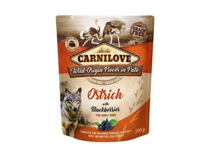 OBC024431 1710859900