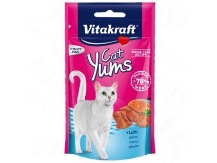 yums cat salmon
