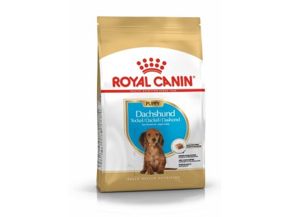royal canin jazvecik puppy 1500 g 3182550722575