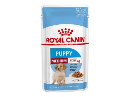 medium puppy 1 2