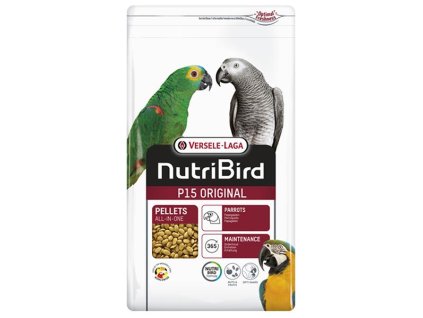 OBC021616 1639132089