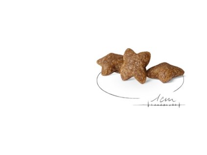 Royal Canin MINI Adult 8kg