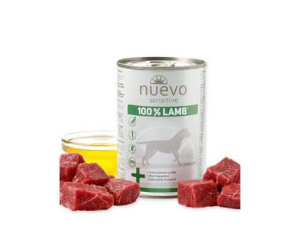 OBC021978 1651052116