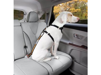 Bezpečnostný autopás pre psa s upínacím mechanizmom Kurgo Direct to Seatbelt Tether - Orange (Farba oranžové)