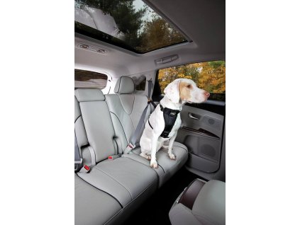 Bezpečnostný autopás pre psa s uškom Kurgo Seatbelt Tether (Farba alpine-dawn)