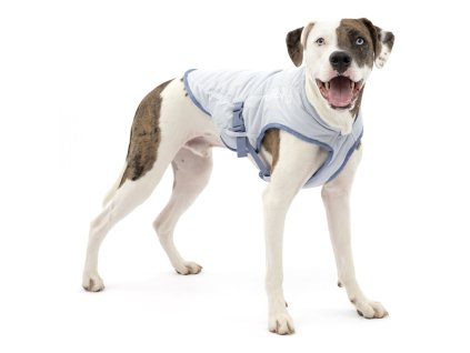 Kurgo Dog Core Cooling Vest-M (Velkost M)