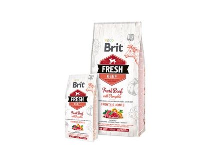 BRIT Fresh Puppy Large hovädzie s tekvicou 2,5 kg