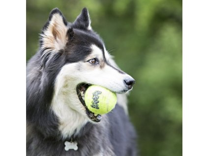 Hračka Kong Dog SqueakAir Lopta s pískatkom tenis, guma vulkanizovaná, XL