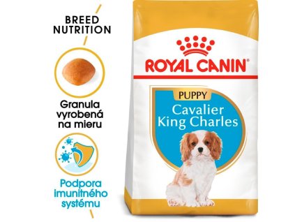 royal canin cavalier king charles puppy granule pre stenata kavalier king charles do 10 mesiacov 185