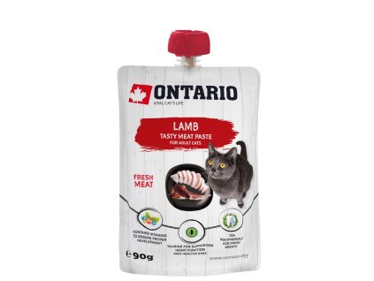 Pasta Ontario jahna 90 g 8595681801791