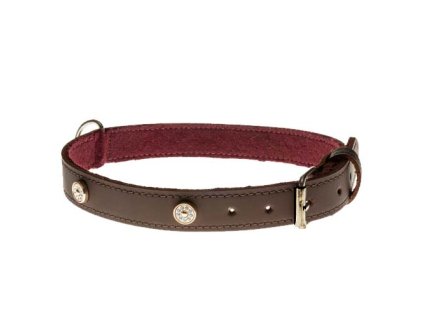 COBBYS PET Obojok z pravej olejovej kože, hnedý, podšitý a zdobený zlatými nitmi s kryštálmi 25mm/45cm