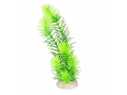 EBI AQUA DELLA Rastlina umelá HORNWORT 24cm zelená 24cm