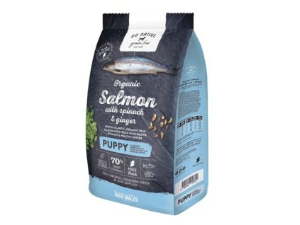 GO NATIVE Puppy Salmon with Spinach and Ginger 12kg ultraprémiové krmivo pre šteňatá s lososom, špenátom a zázvorom
